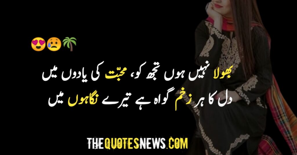 Love Poetry In Urdu Text